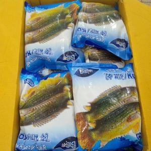 Koi IQF