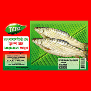 Mrigal Fish