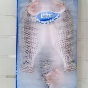Tilapia
